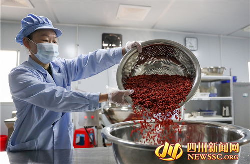 廣安鄉村微工廠 富硒食品開發助力產業振興