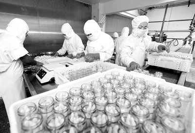 淮北蘆筍喜豐收，綠色食品開發(fā)正當時